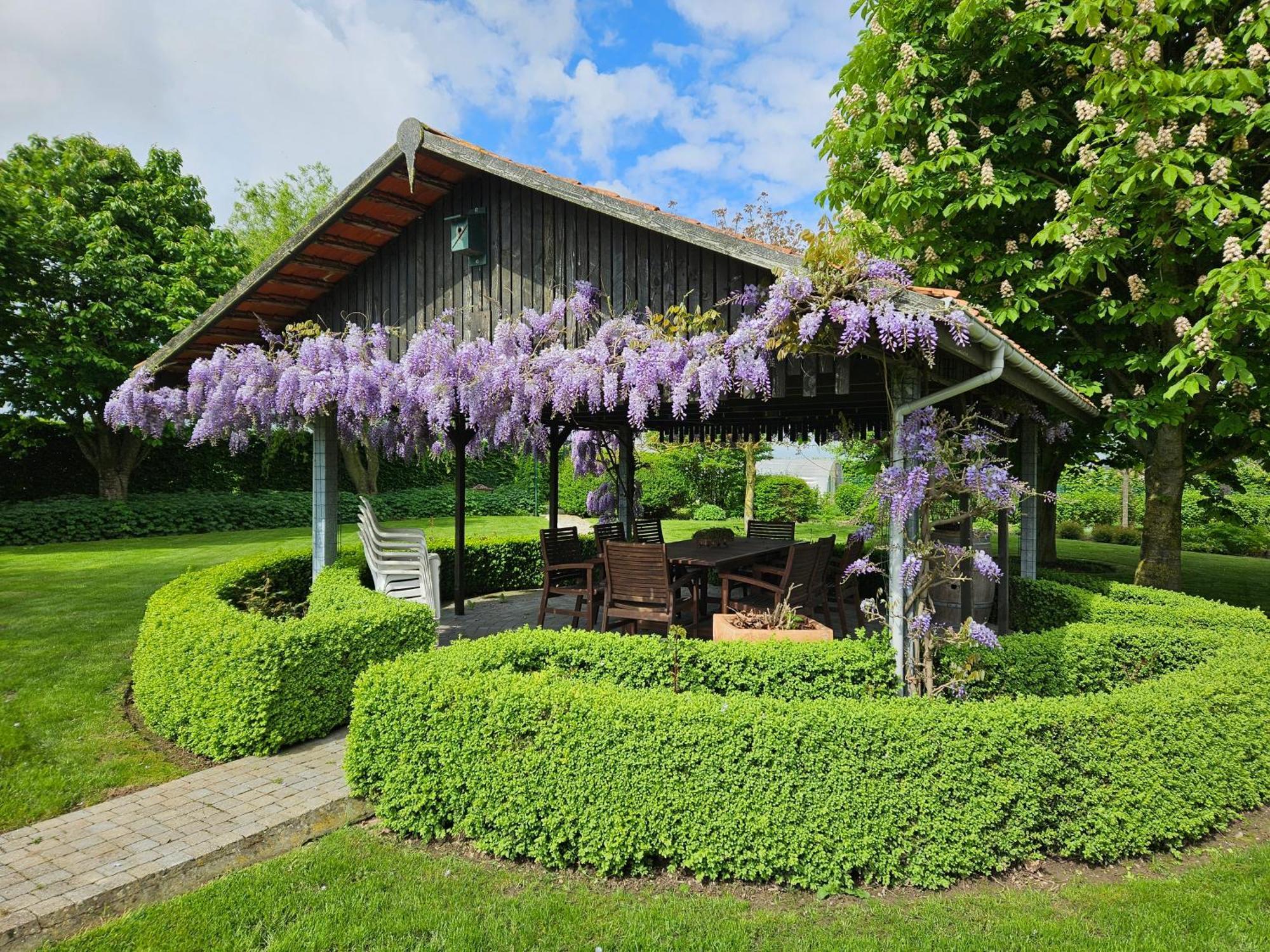'T Hooghe Licht Bed & Breakfast Зонебеке Екстериор снимка